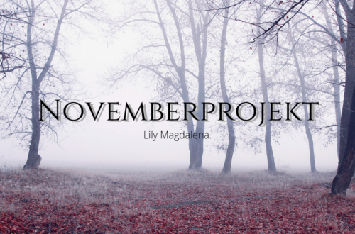 Novemberprojekt, Gothic Novel, Fantasy, Urban Fantasy, Work in Progress, Arbeitstitel