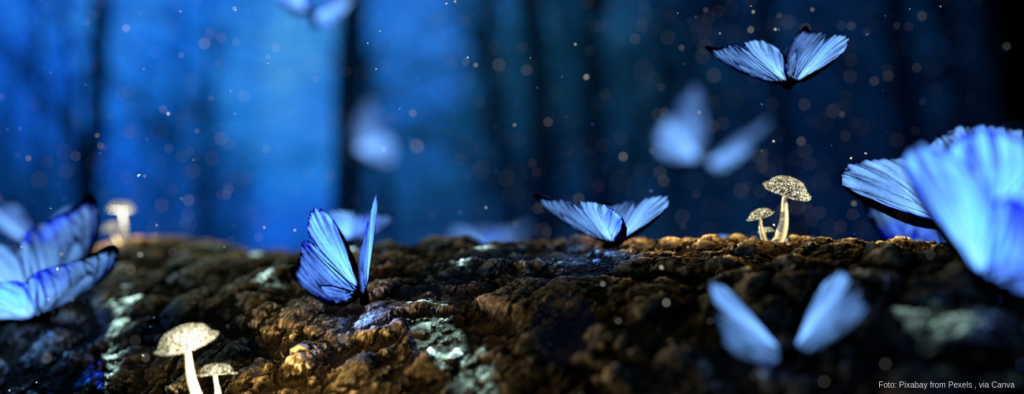 Novemberprojekt, Gothic Novel, Fantasy, Urban Fantasy, Work in Progress, Arbeitstitel