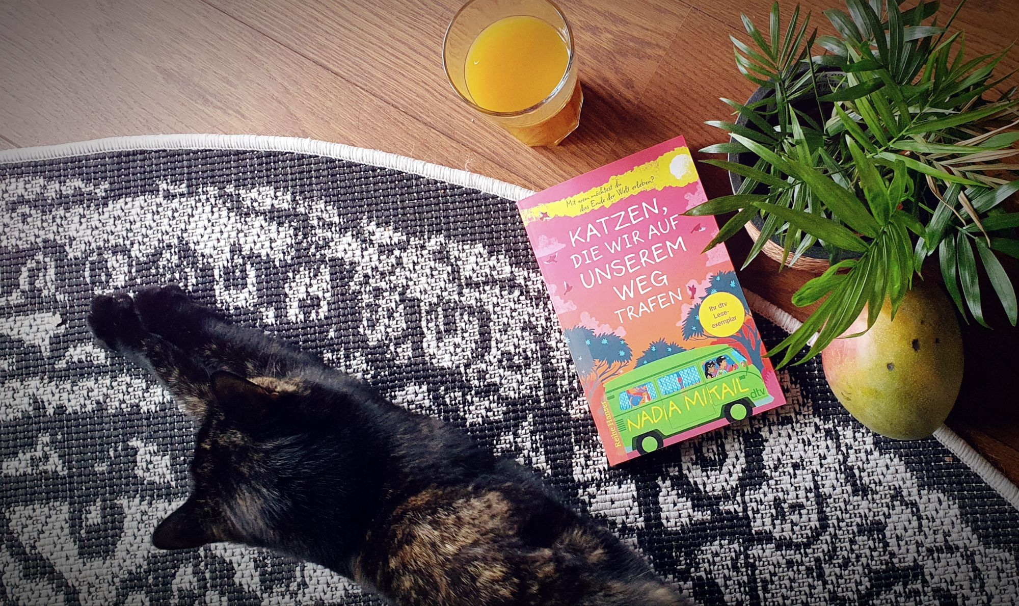 Rezension: Katzen, die wir auf unserem Weg trafen – Lily Magdalen, Titelbild