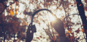 Novemberkönig-Playlist: Musik, die den Roman von Lily Magdalen inspiriert hat