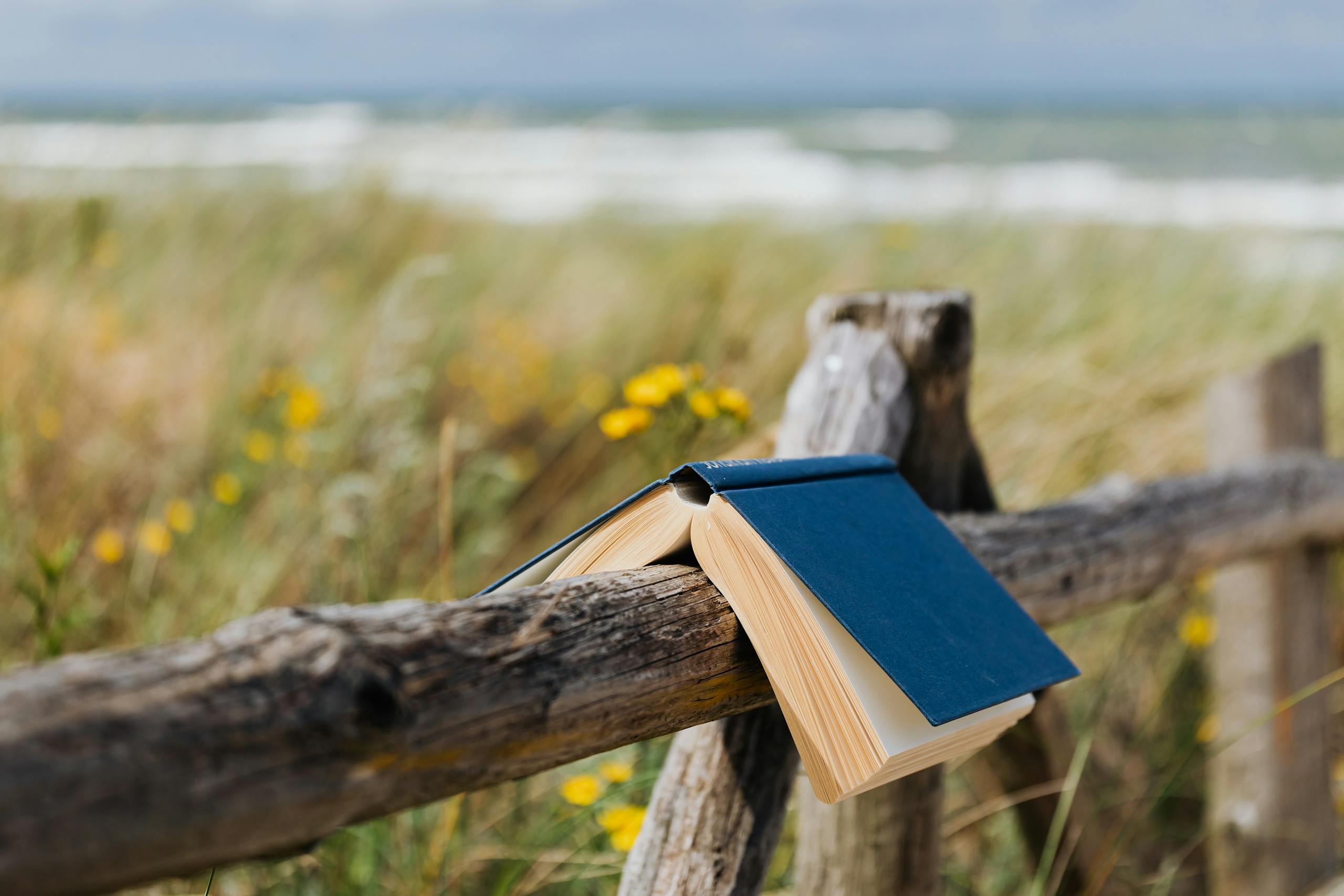 Open blue book resting on a rustic wooden fence by a seaside meadow.