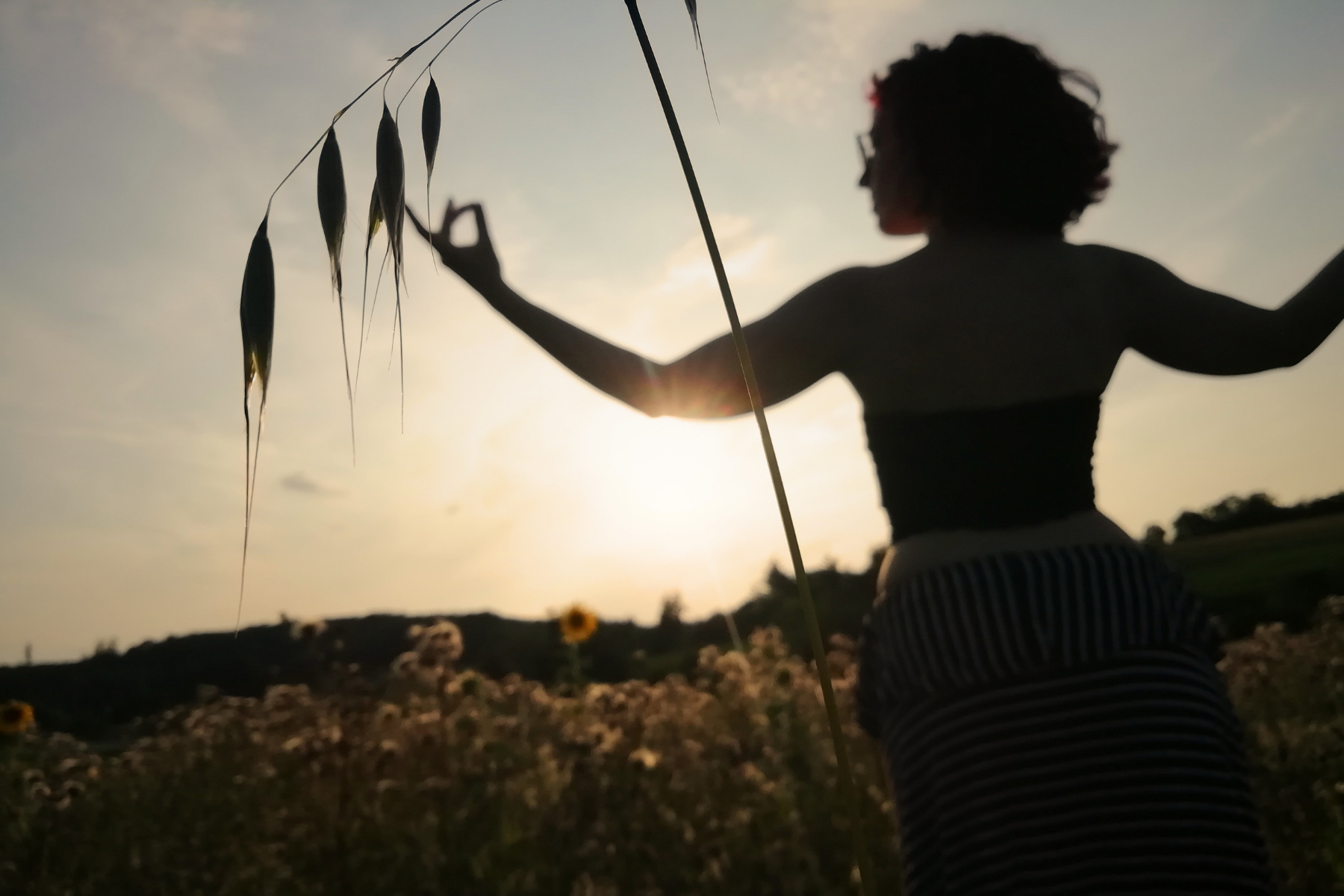 Spätsommer: die verdrängte Jahreszeit. Der August als Übergangs-Monat. Seasonal Living, Slow Living